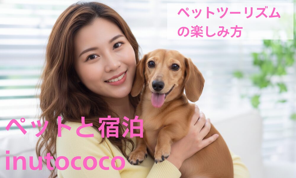 黄色いセーターを着た若い女性がダックスフンドの茶色い犬を抱えて笑顔で目線を送ってくれている写真inutococoと書いてある