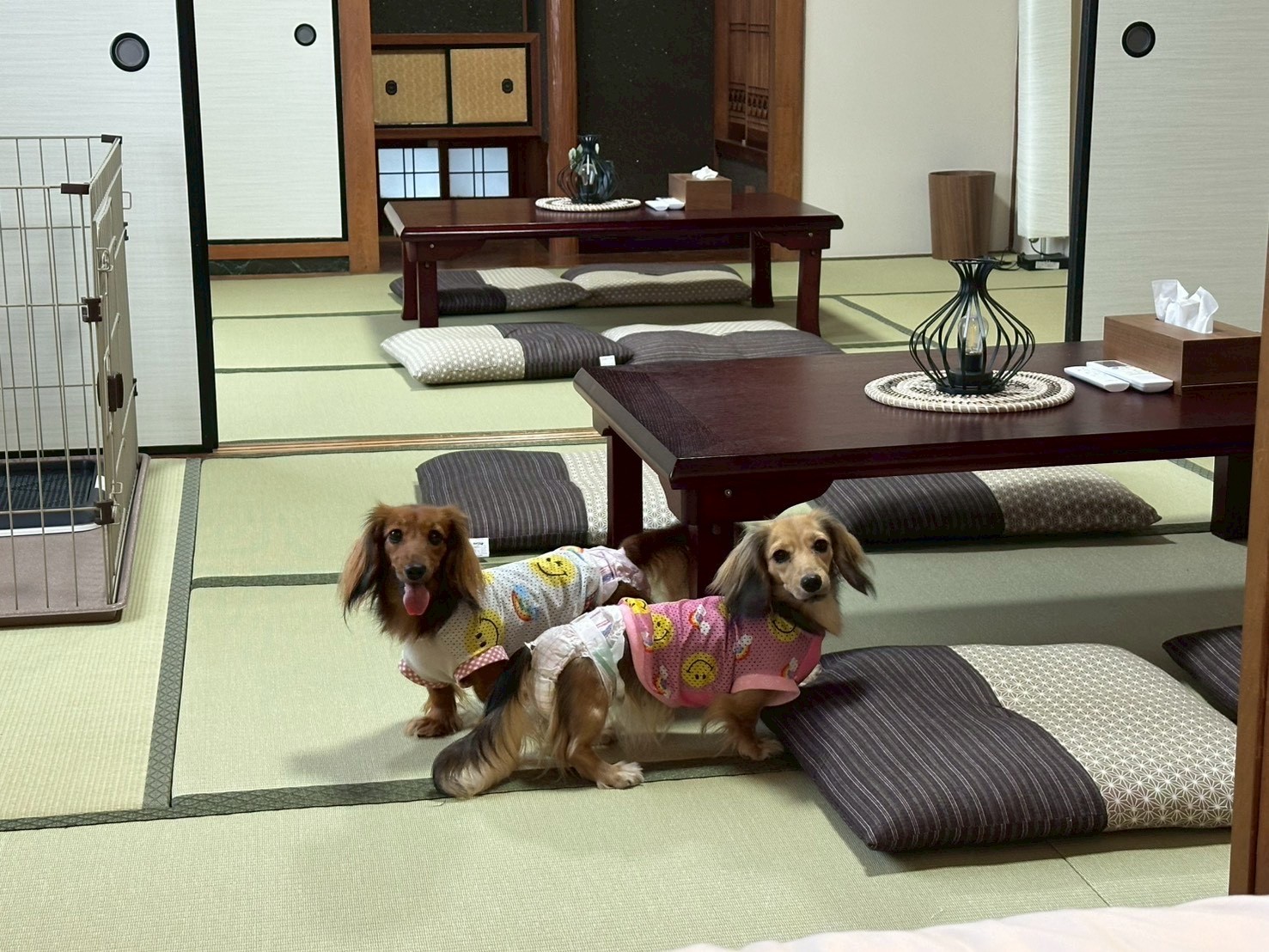 和室二間＋ベッドルーム　最大6名　愛犬と添い寝OK！