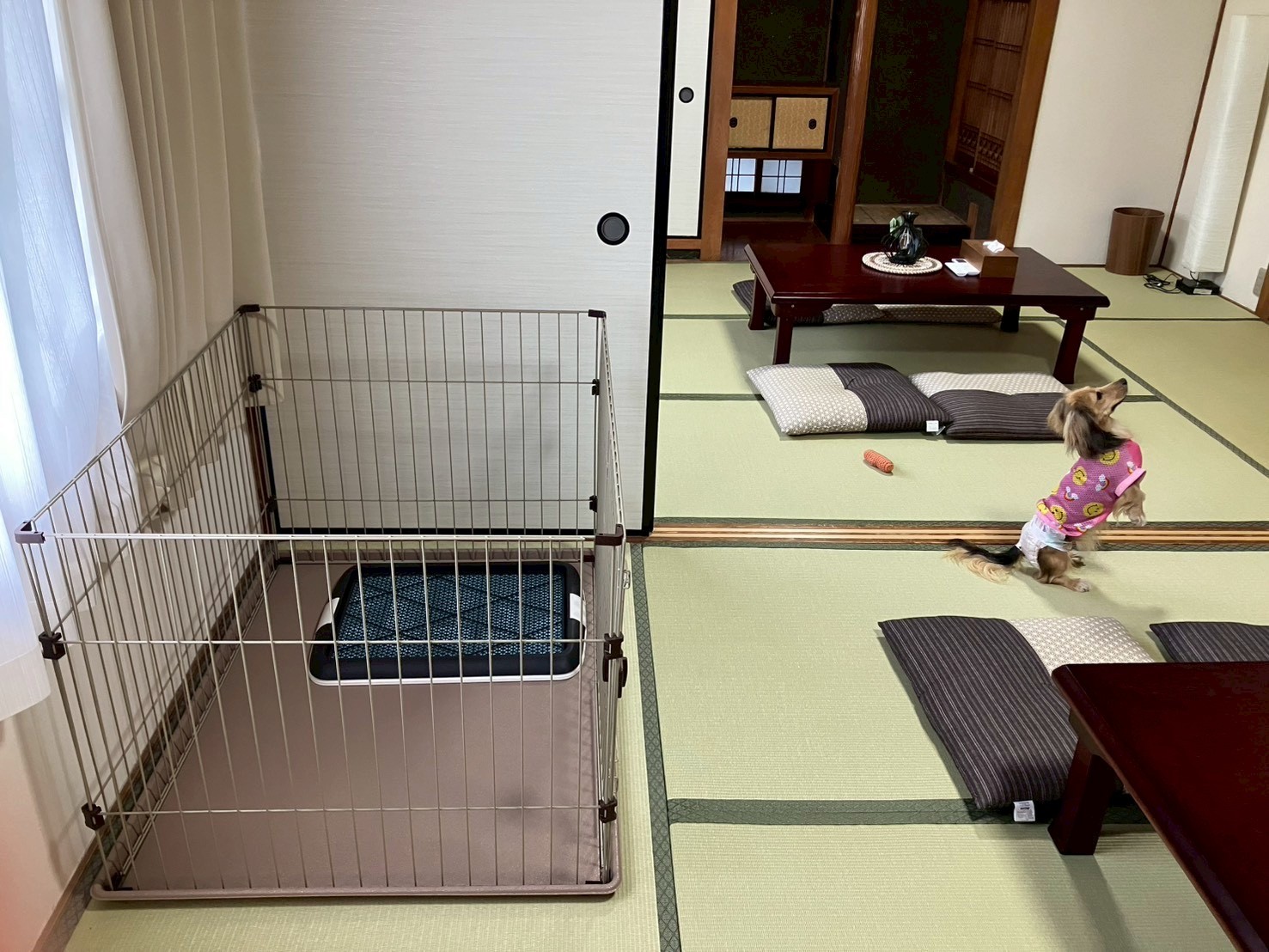 和室二間＋ベッドルーム　最大6名　愛犬と添い寝OK！