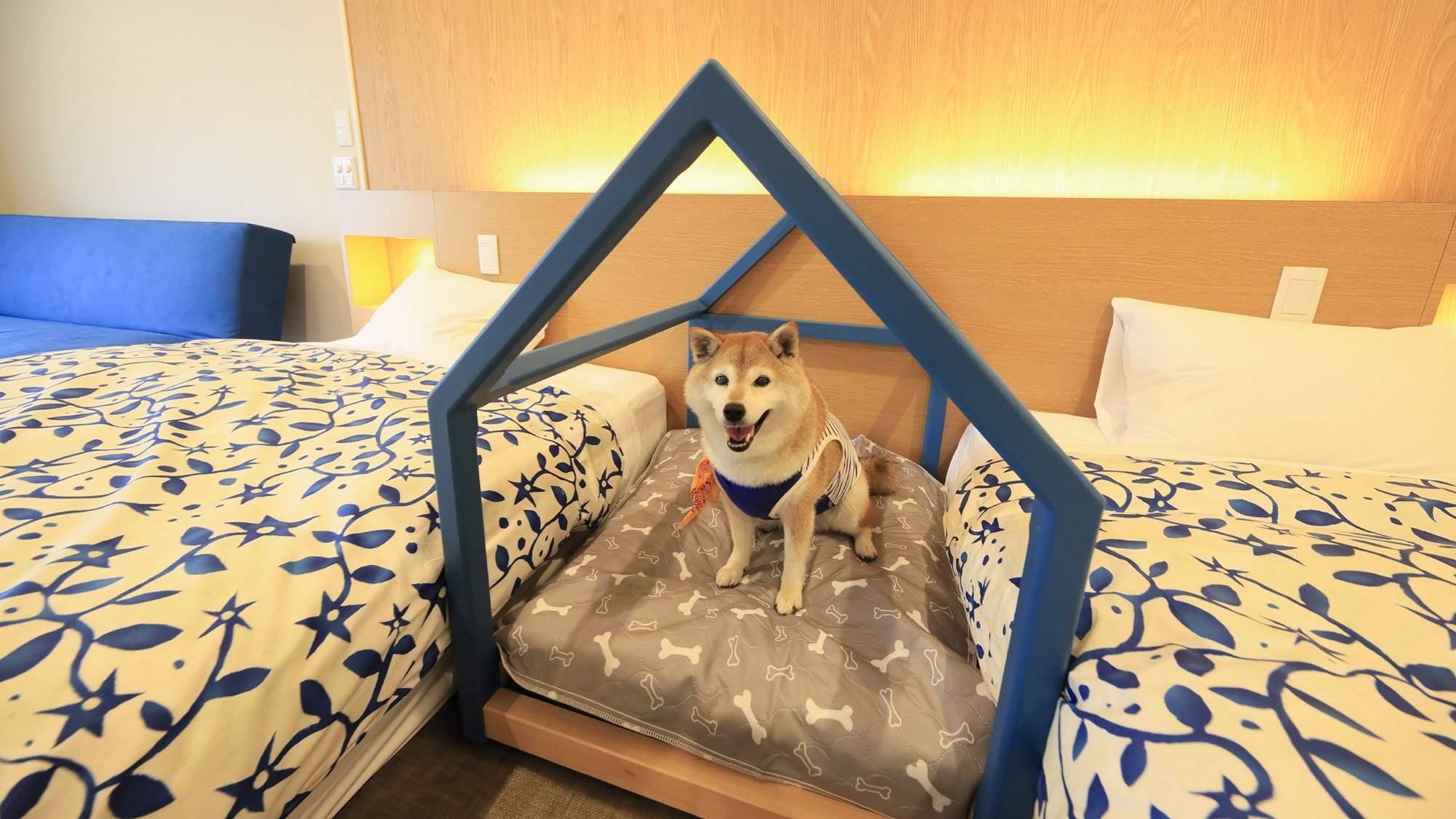 愛犬と泊まれる温泉宿　ゆるり西伊豆