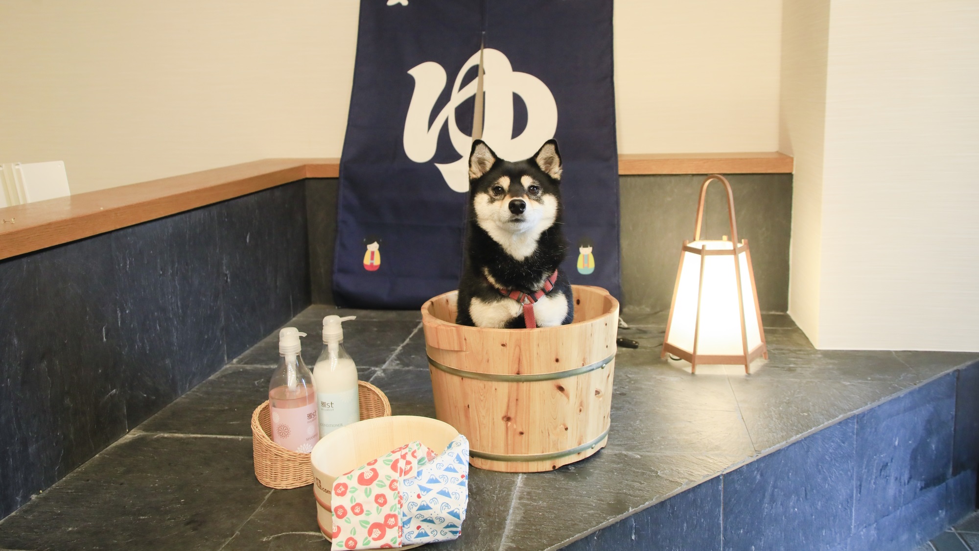 愛犬と泊まれる温泉宿　ゆるり西伊豆