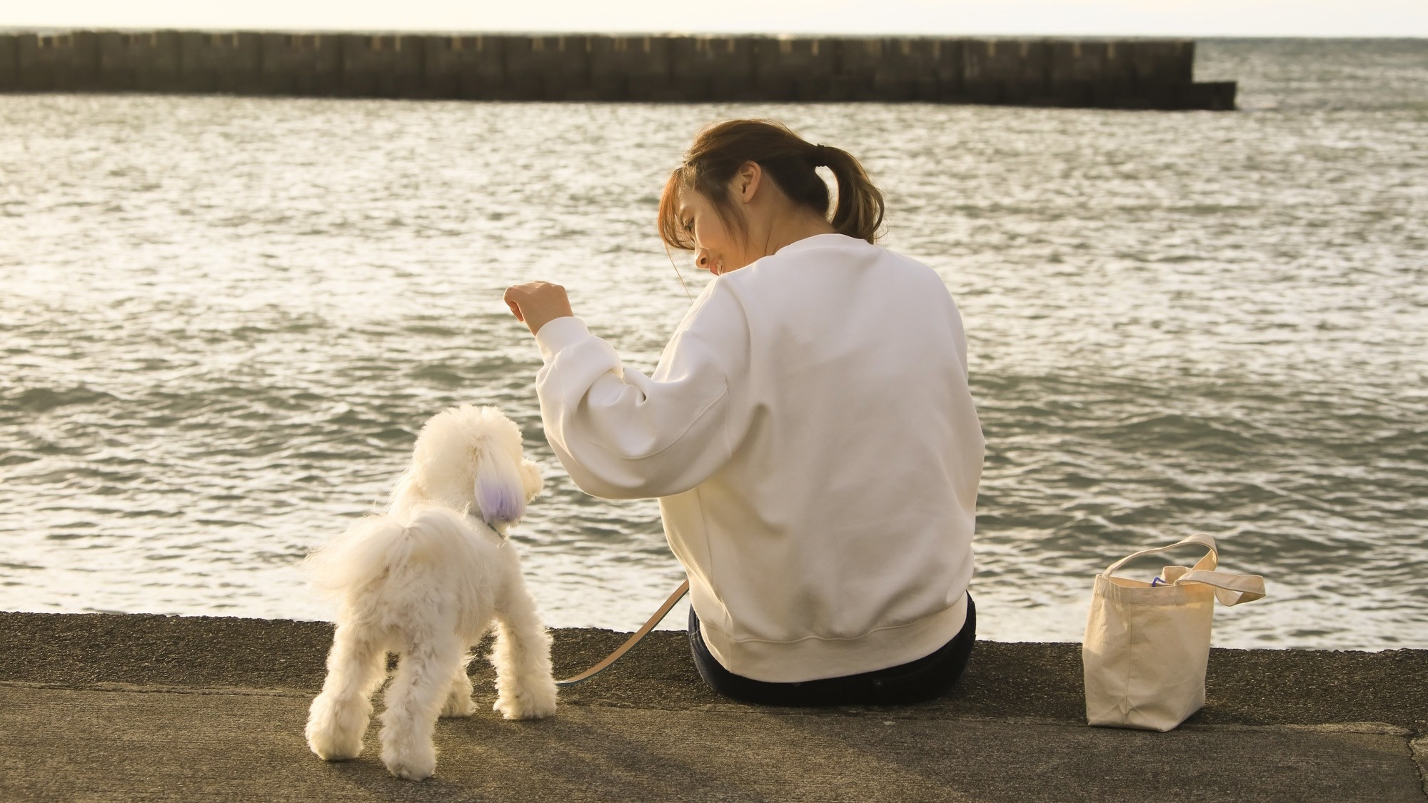 愛犬と泊まれる温泉宿　ゆるり西伊豆