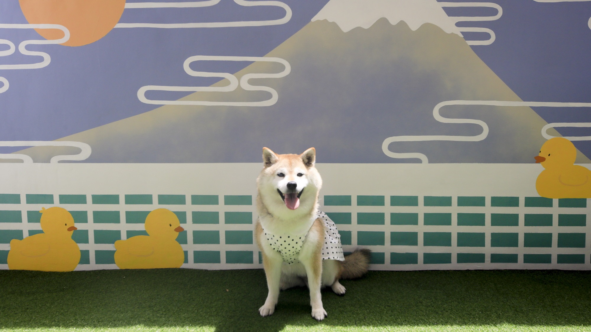 屋外フォトスポット