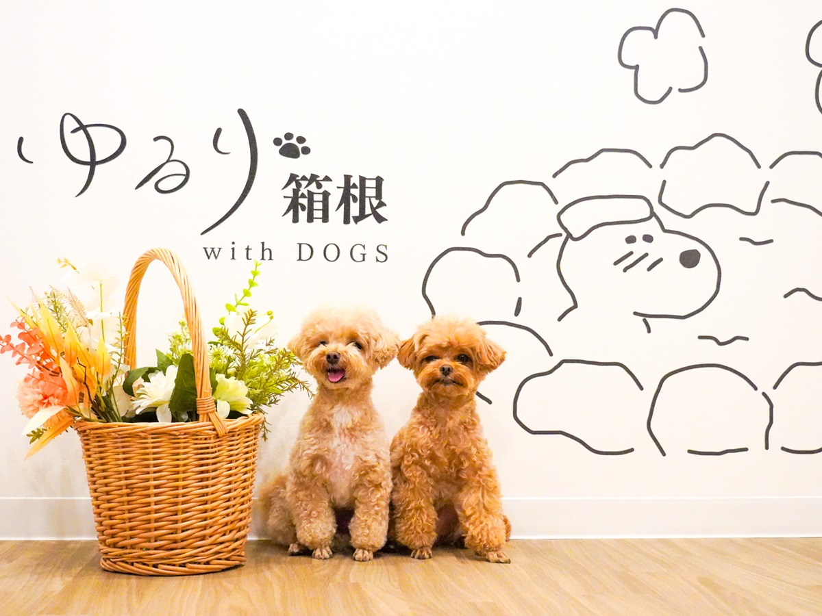 ゆるり箱根withDOGS