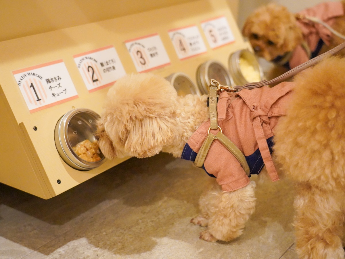 おやつワゴン